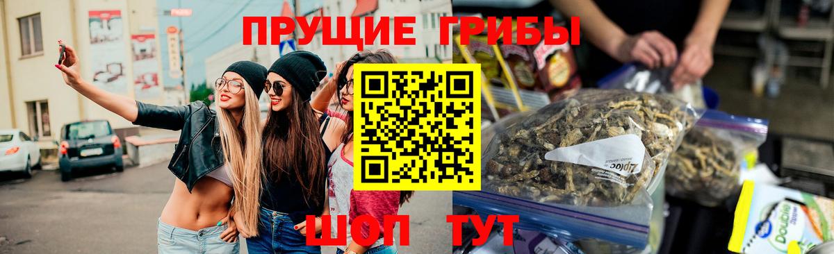 Галлюциногенные грибы мицелий Кушва
