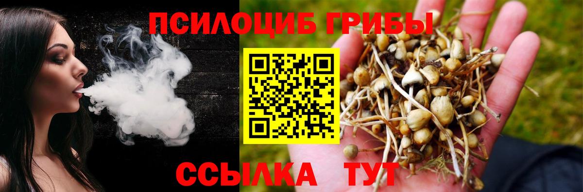 как найти закладки  Псилоцибиновые грибы Cubensis  Вход с VPN  Кушва 